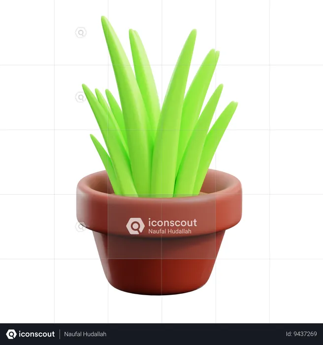 Grass Pot  3D Icon