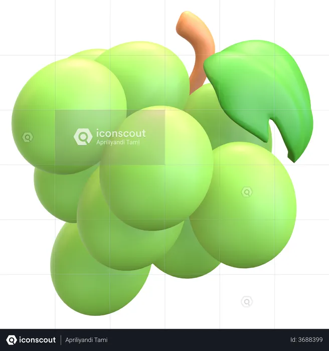 Green Grape  3D Illustration