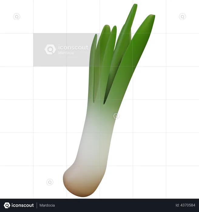 Green Onion  3D Illustration