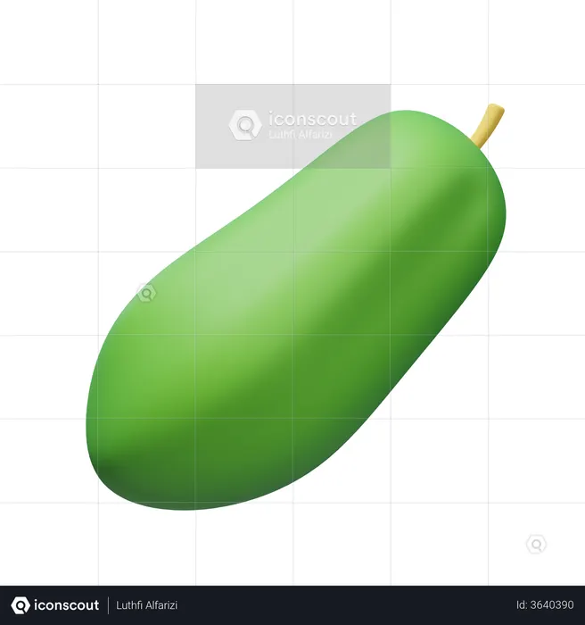 Green Papaya  3D Illustration