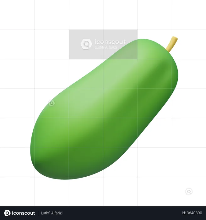 Green Papaya  3D Illustration