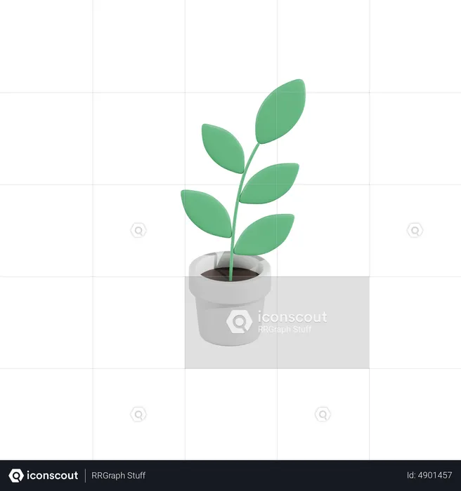 Green Plant  3D Icon