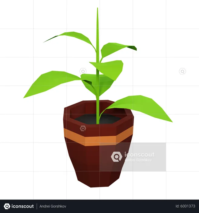 Green Plant  3D Illustration