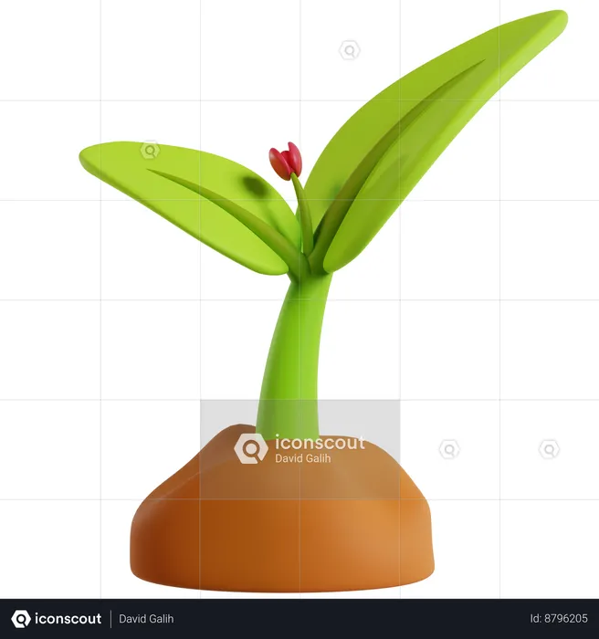 Green Planting Beginnings  3D Icon