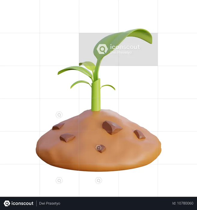 Grow plants  3D Icon