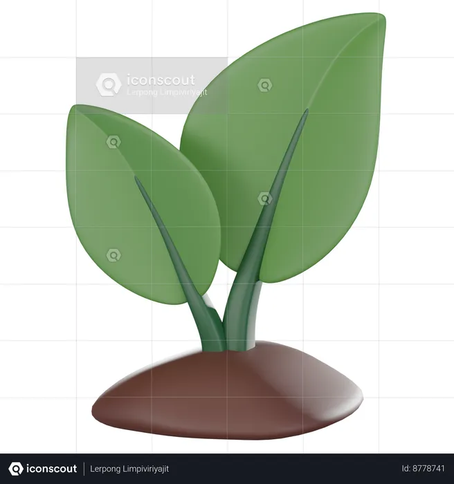 Growing Plant  3D Icon