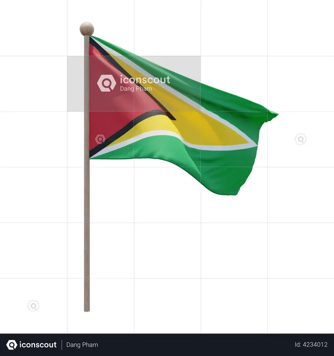 Guyana Flag Pole  3D Flag