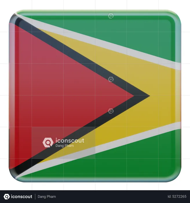 Guyana Square Flag Flag 3D Icon