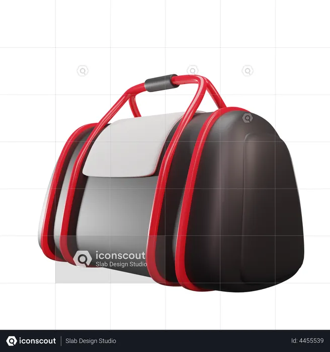 Gym Bag  3D Illustration