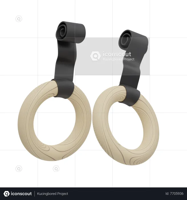 GYMNASTIC RINGS  3D Icon