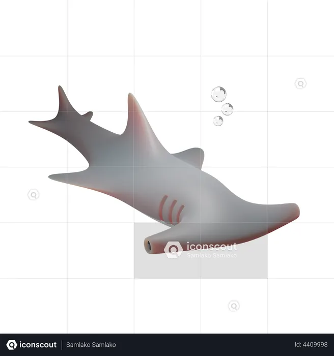 Hammerhead Shark  3D Illustration