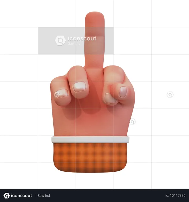 Hand gesture showing middle finger  3D Icon