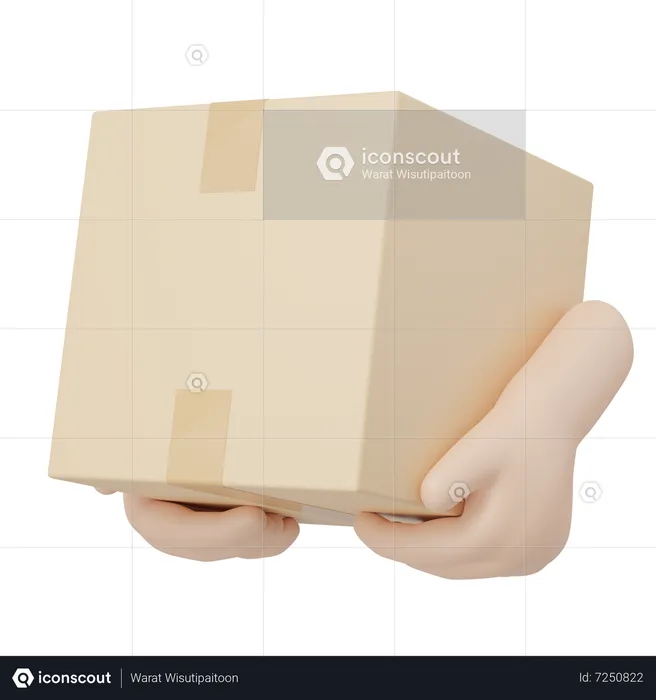 Hand hält Paket  3D Icon
