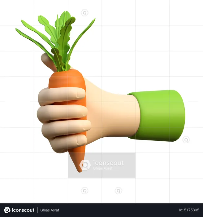 Hand Holding Carrot  3D Icon