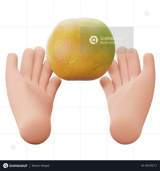 Hand Holding Fruit  3D Icon