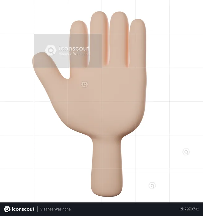 Hand With Five Fingers  3D Icon