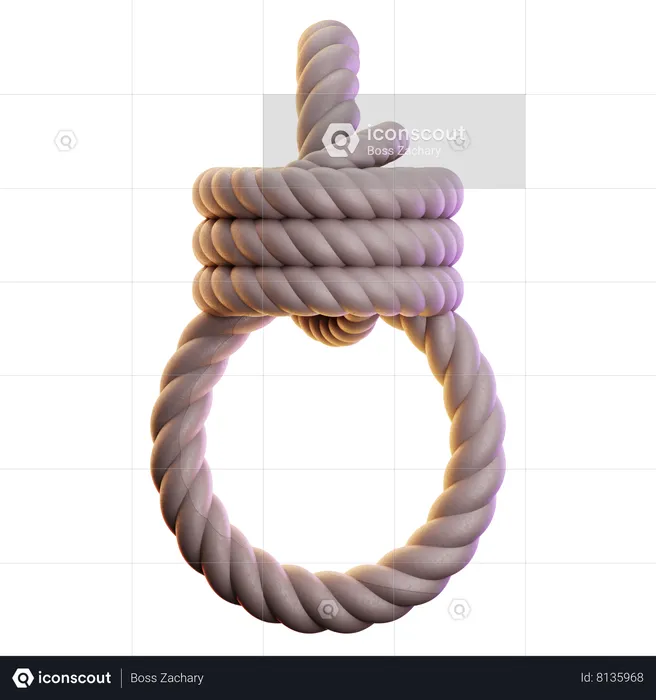 Hanging Rope  3D Icon