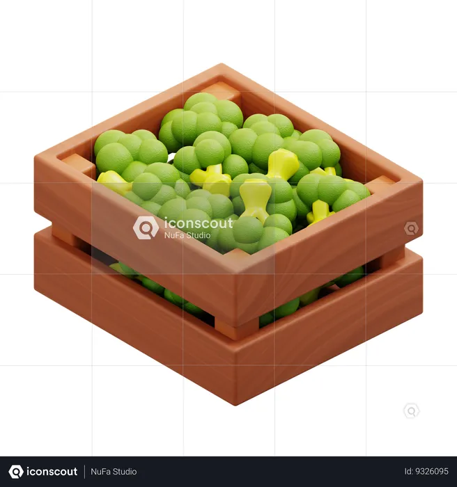 Harvest Broccoli  3D Icon