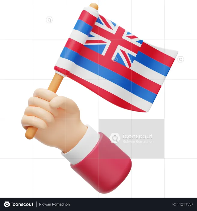 Hawaii Flag Flag 3D Icon