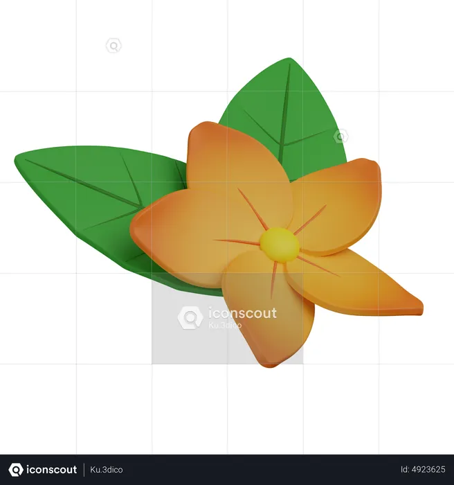 Hawaiian Flower  3D Icon