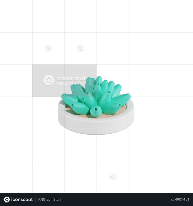 Haworthia Cactus Plant 3D Icon