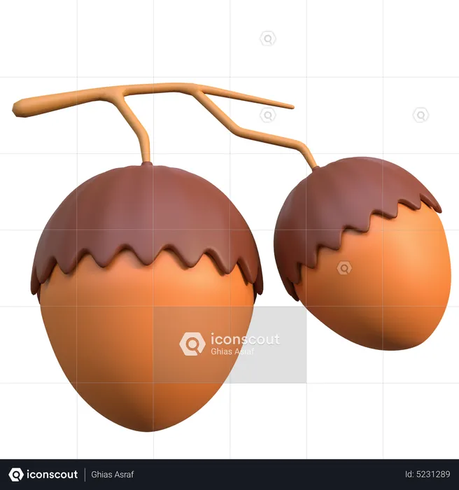 Hazel Nut  3D Icon