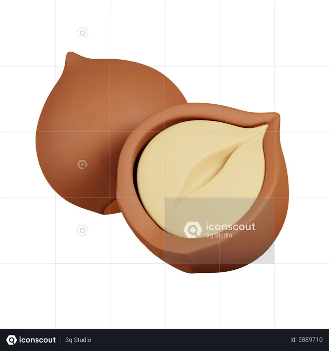 Hazelnut  3D Icon