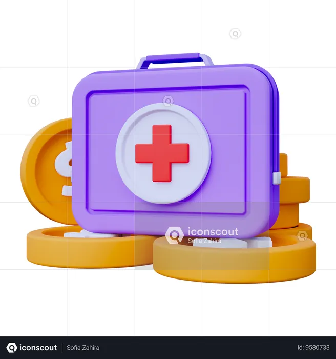 Health Insurance Fund  3D Icon