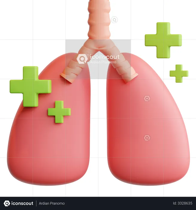 Healthy Lungs  3D Illustration