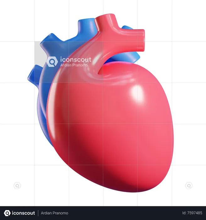 Heart  3D Icon