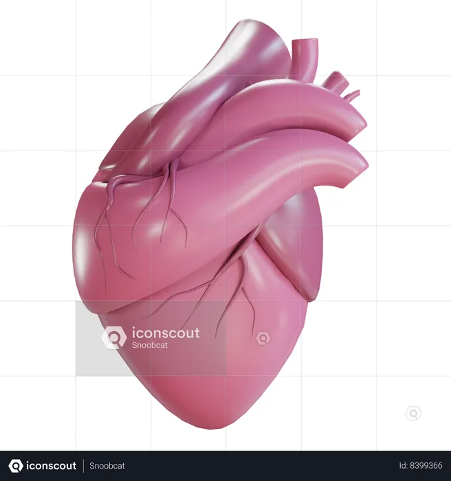 Heart  3D Icon