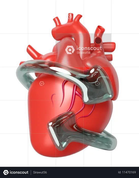 Heart Disease Prevention  3D Icon