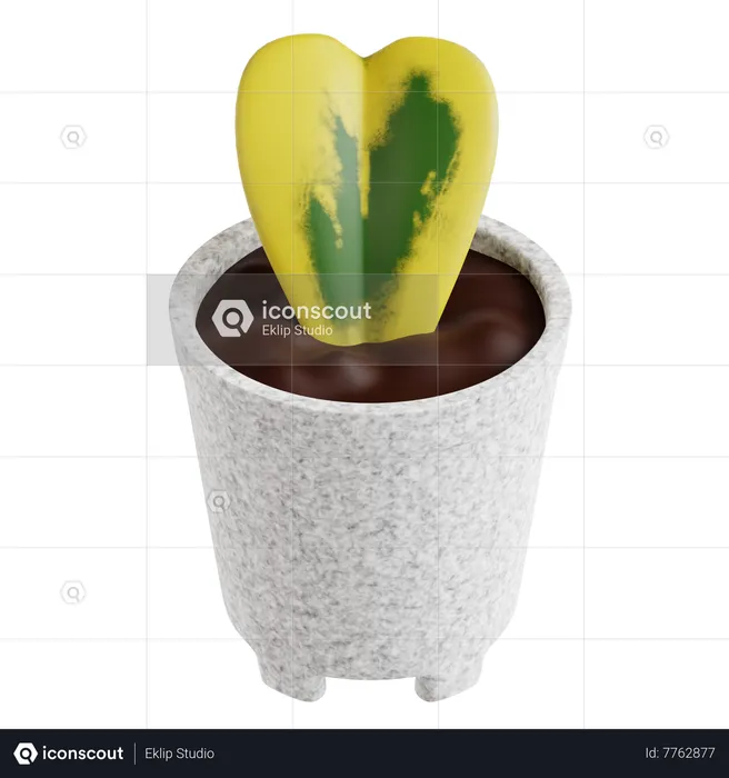 Heart Hoya Plant  3D Icon