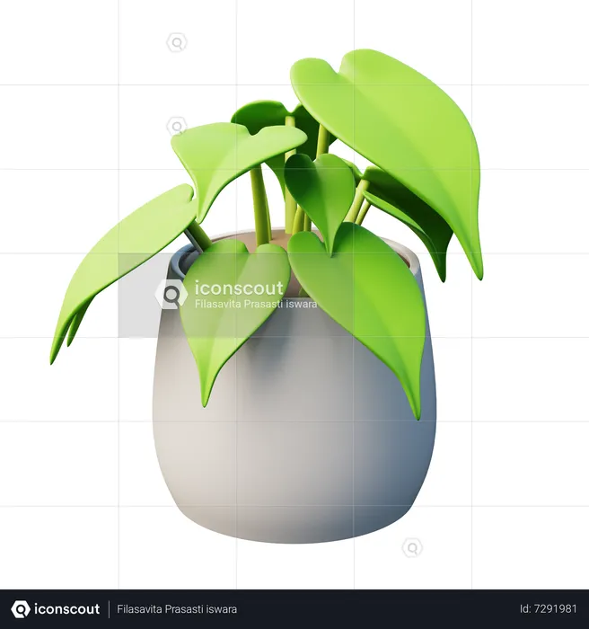 Heart-Leaf Philodendron Plant  3D Icon