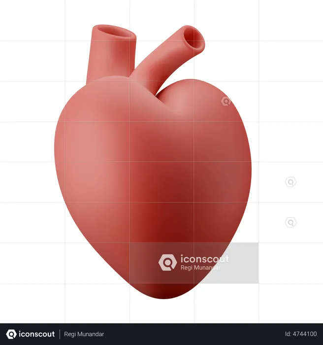 Heart Organ  3D Illustration