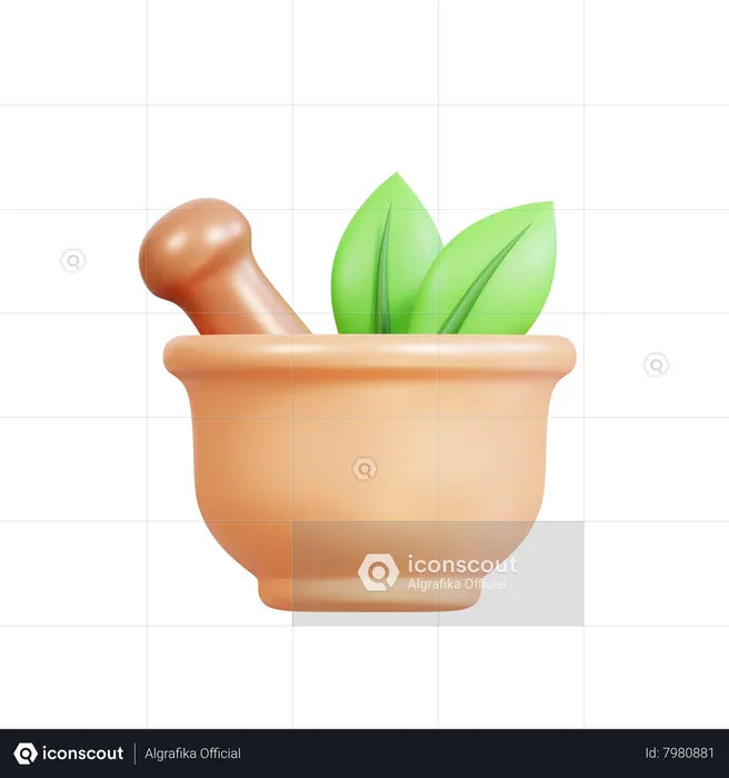 Herb  3D Icon