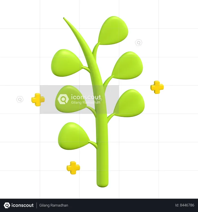Herbs  3D Icon