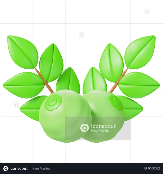 Herbs  3D Icon