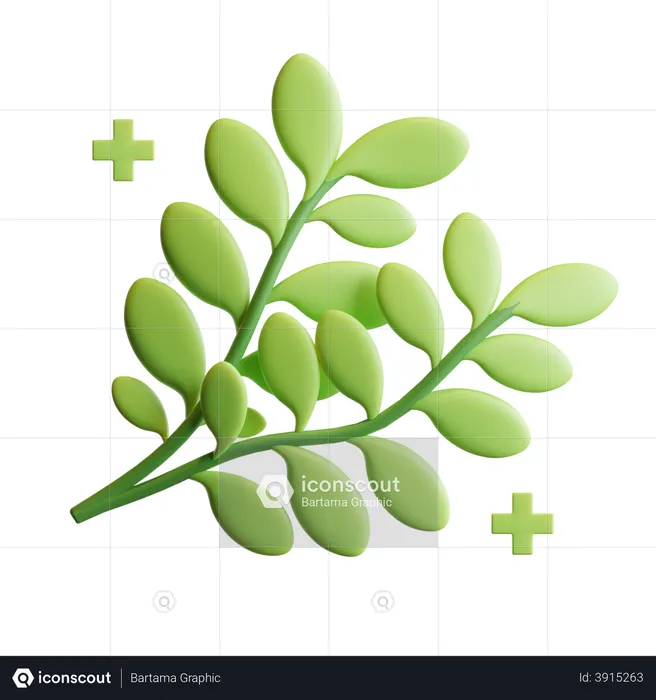 Herbs Plant  3D Illustration
