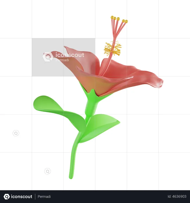 Hibiscus  3D Illustration