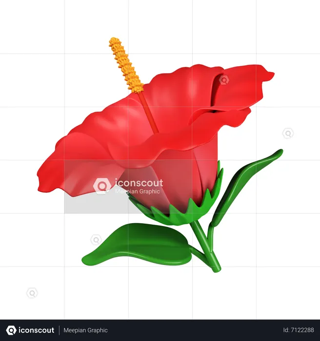 Hibiscus Flower  3D Icon