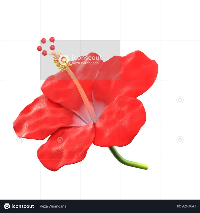 Hibiscus Flower  3D Icon