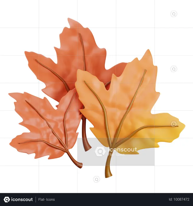 Hojas de otoño  3D Icon