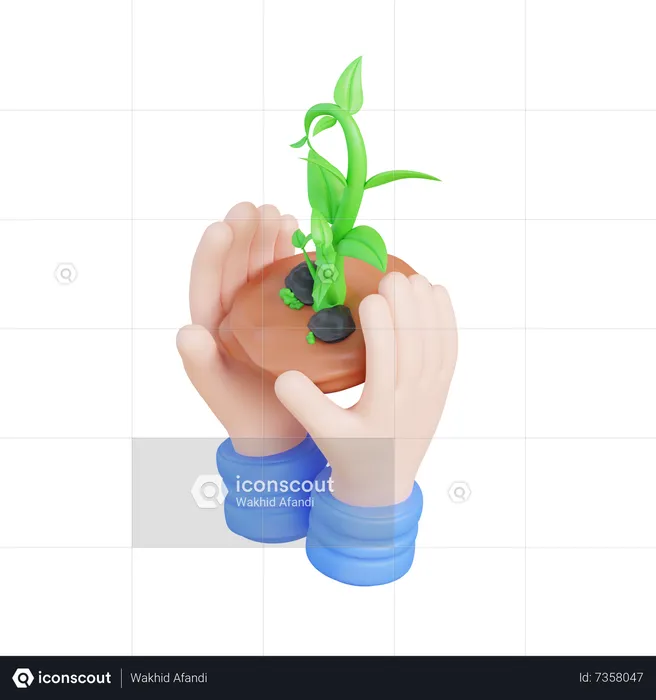 Holding Plant  3D Icon