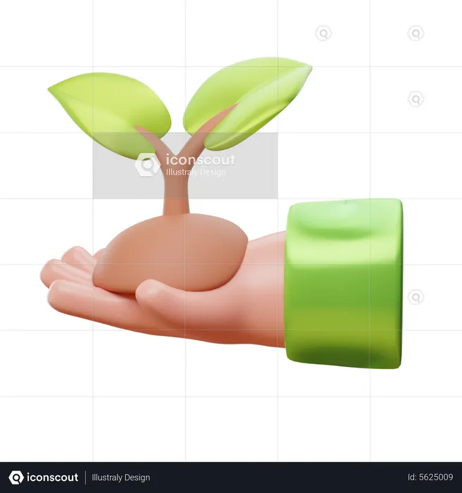 Holding The Plant  3D Icon