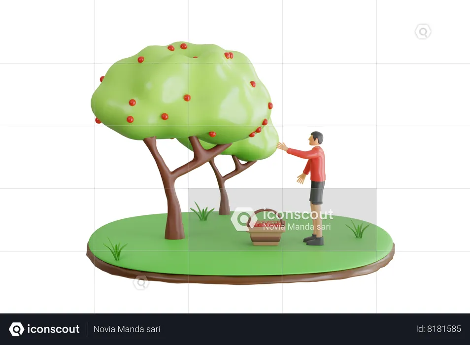 Hombre cosechando frutos de manzana  3D Illustration