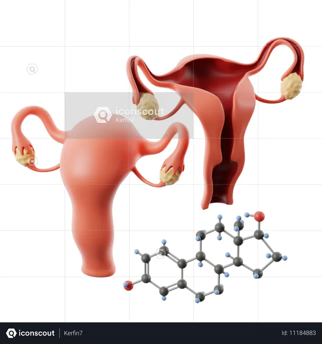 Hormônios  3D Icon