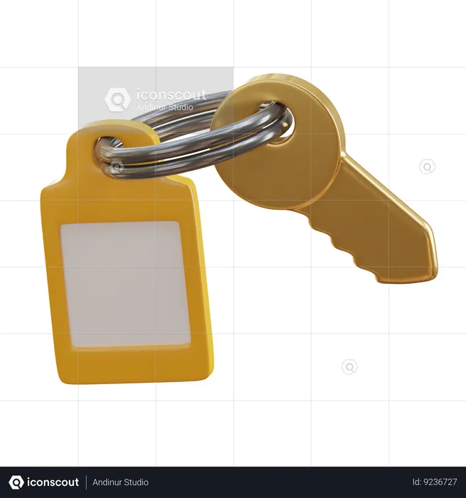 Hotel key  3D Icon