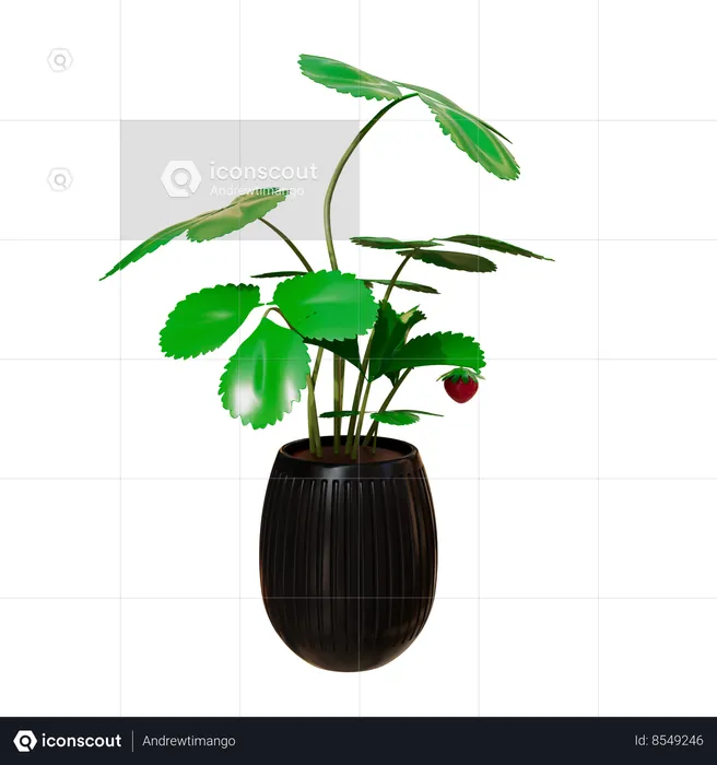 House Plant  3D Icon