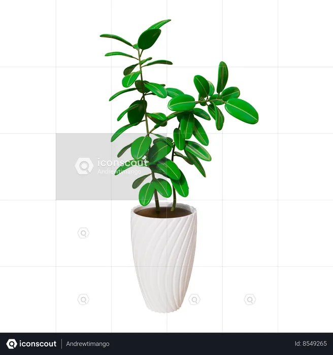 House Plant  3D Icon